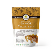 Organic Golden Irish Sea Moss - (113g)